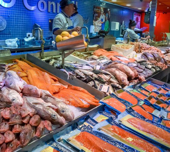 Fish counter