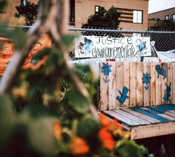 The community gardens developed in the railway wasteland.