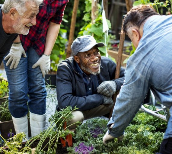 Group of people laughing by produce in garden