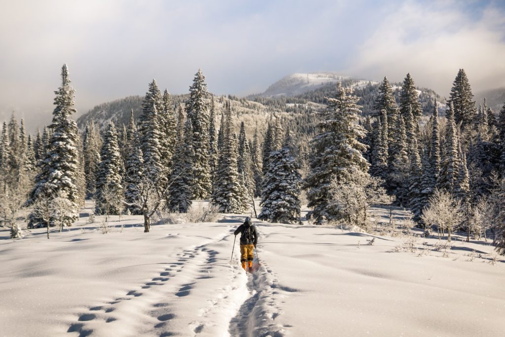 Person cross country skiing in winter.