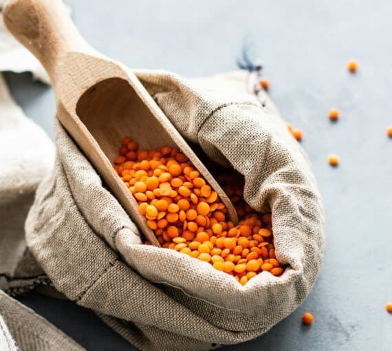 plant-based-basics